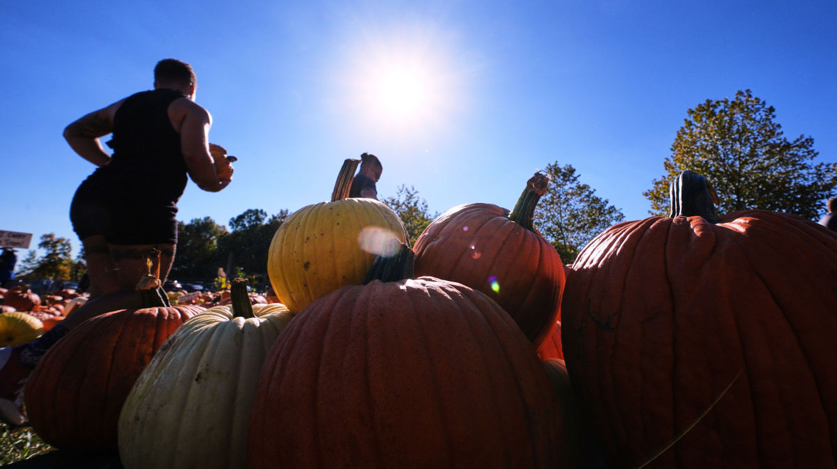 Massachusetts, tekvice