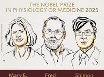 nobel medicina