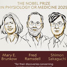 nobel medicina