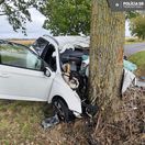 polícia SR, zrážka so stromom, nehoda, vodič, autonehoda,