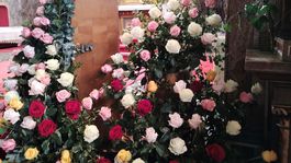 ruže, kostol, Ružomberok