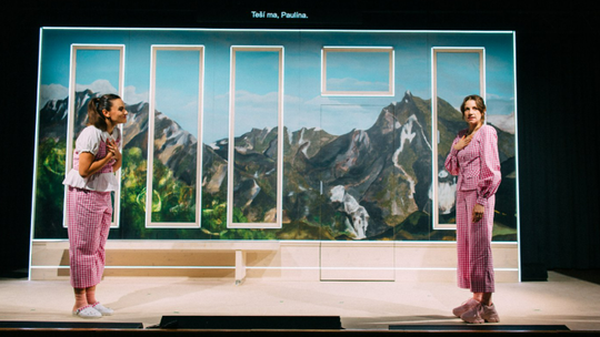 Vzťahy medzi slovenskou opatrovateľkou Paulínou...