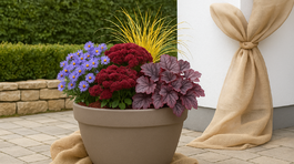 výsadba, návrh, návrh výsadby, jeseň, jesenné trvalky, jesenný balkón, NEPOUŽÍVAŤ