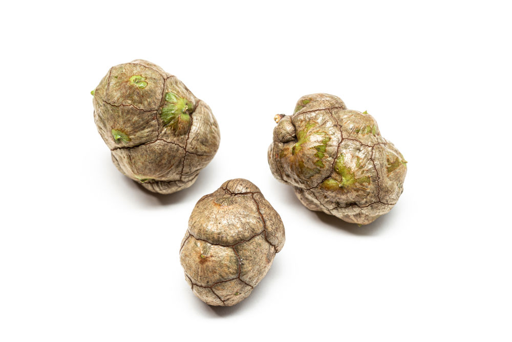 cyprus, šiška, 1604586016