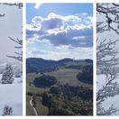 koláž, fotky, mReportér