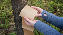 Rozviňte pás z rolky a opatrne oddeľte lepiace...