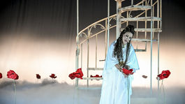 Terézia Kružliaková, Samson a Dalila