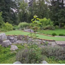 park, Rajecké Teplice, mReportér