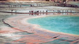 Yellowstone, gejzír, horúci prameň, národný park, USA