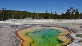 Yellowstone
