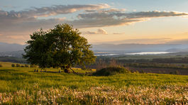 Strom roka 2025: príbehy víťazov