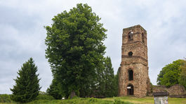 lipa malolistá, Strom roka 2025, 3. miesto