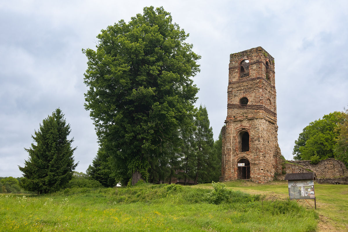 Lipa malolistá z Krásneho Brodu má približne...