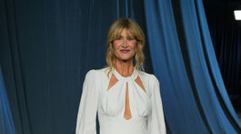 Herečka Laura Dern na červenom koberci akcie Academy Museum Gala.