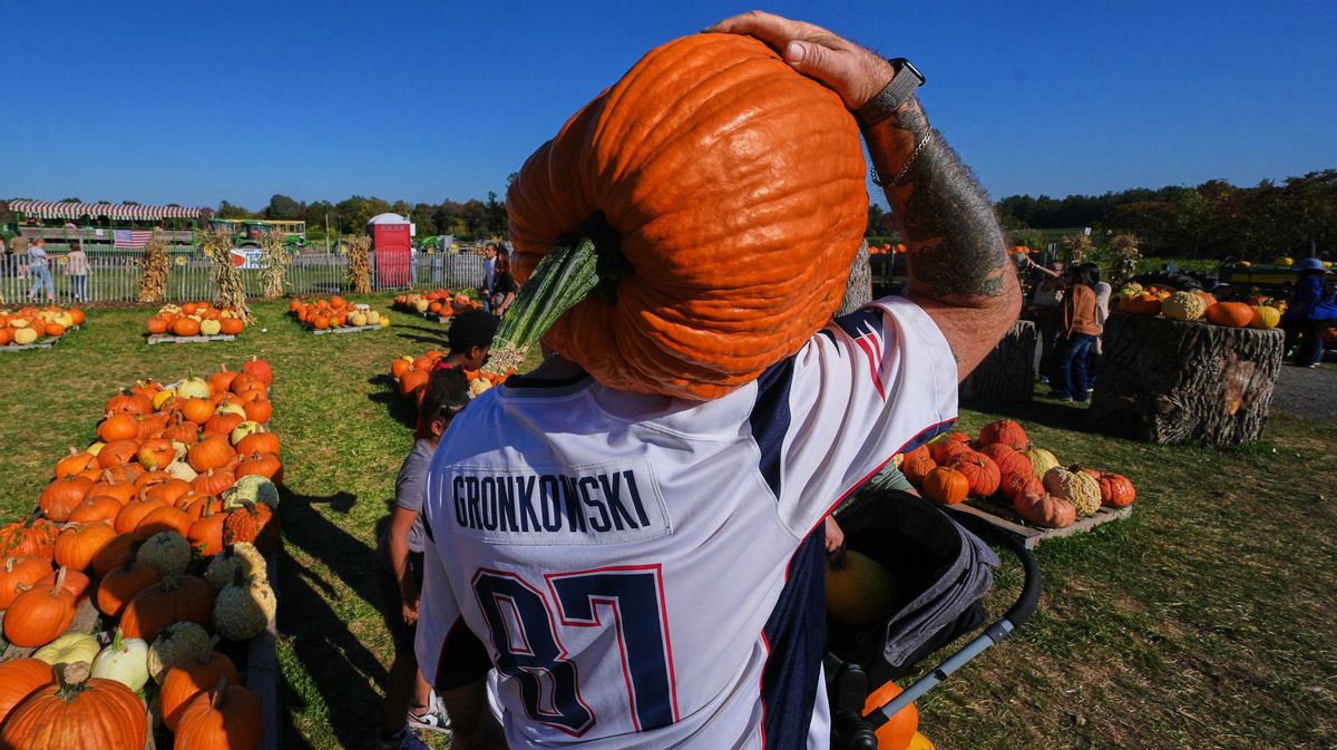 Massachusetts, tekvice, Halloween