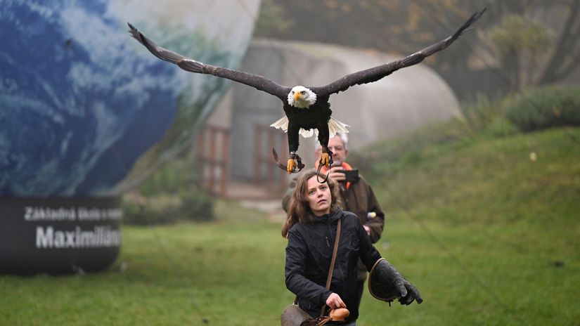 dravce, žiaci, Štiavnické Bane