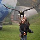 dravce, žiaci, Štiavnické Bane