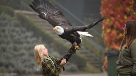 Žiaci Základnej školy Maximiliána Hella v...