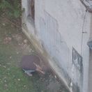 NArkoman Zelezniky FB Katarina Katka