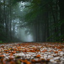 SR Lubina Biele Karpaty Kopanice Počasie Jeseň TNX