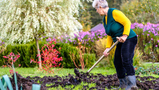jeseň, jeseň v záhrade, hnoj, hnojenie,...