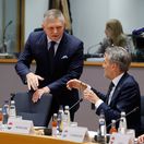 Robert Fico, Dick Schoof, summit