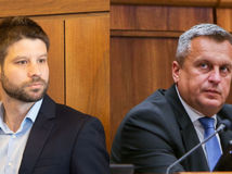 šimečka, danko