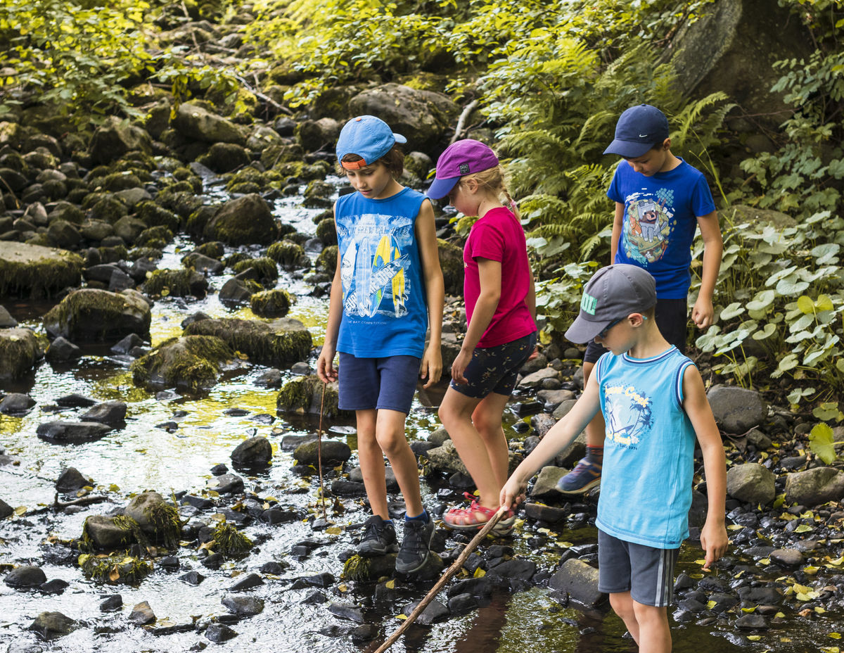 Zapájanie všetkých zmyslov, pohyb po nerovnom...