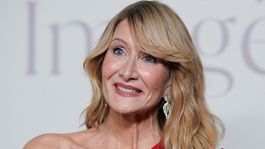 Herečka Laura Dern na podujatí InStyle Imagemaker Awards.