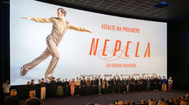 rh DSC 9420 zmensena