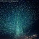 drony, šou, show, čína