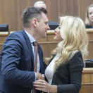 SR NRSR 13.schôdza Šimkovičová hlasovanie MK neodvolanie BAX