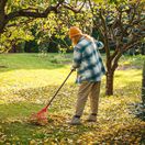 jeseň, lístie, hrabanie lístia, 2685724713