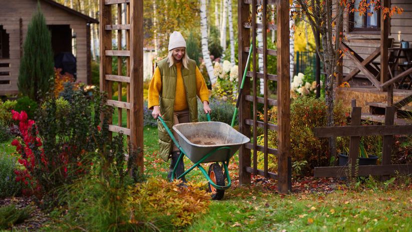 jesenná záhrada, jesenné práce, jeseň, žena,...