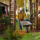 jesenná záhrada, jesenné práce, jeseň, žena, fúrik, 2326678351