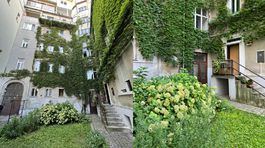 Bratislava má pestrú paletu vnútroblokov