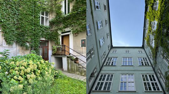 Tajomstvo bratislavských vnútroblokov: skryté za múrmi spájajú susedov a pomáhajú viac, než si myslíte