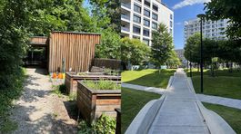 kolaz vnutrobloky urban residence