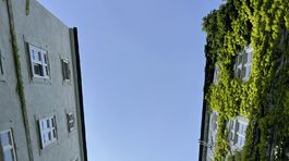 Vnutroblok na Konventnej ul.  Autorka Lucia Liskova