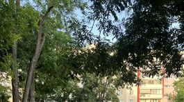 Sputnikova ulica vnutroblok