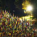 1347. deň: Kyjev nasadil do Pokrovska špeciálov, hovoria o posilnení obrany. Rusi naopak tvrdia, že sa vzdávajú