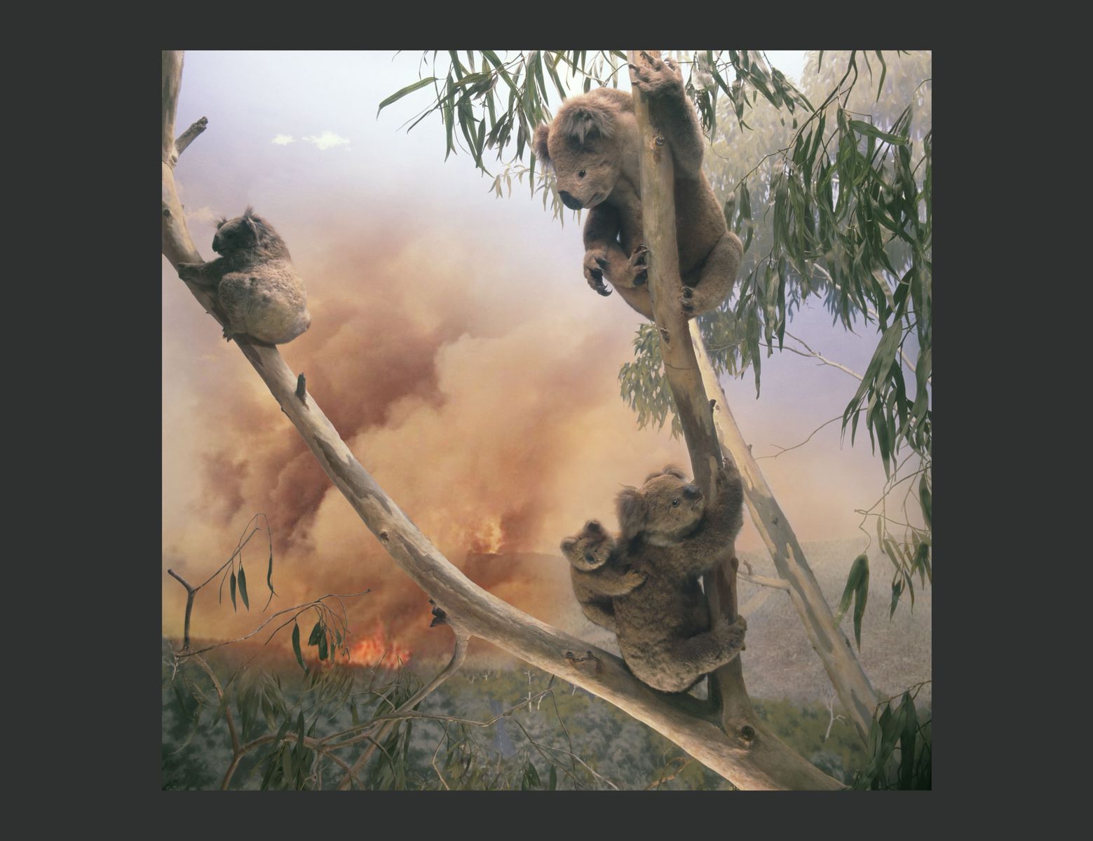 Anne Zahalka má výstavu Fragmenty divočiny v...