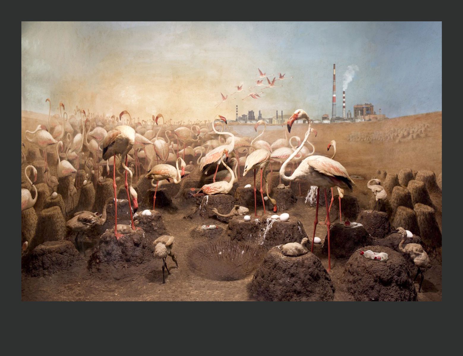 Austrálska umelkyňa Anna Zahalka vystavuje...