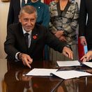 babiš malá fiala macinka šťastný okamura