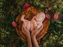 Mesiac fotografie: od Tona Stana po kráľovnú...