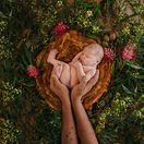 Bobbi Lockyer, Pôvod, Mesiac fotografie