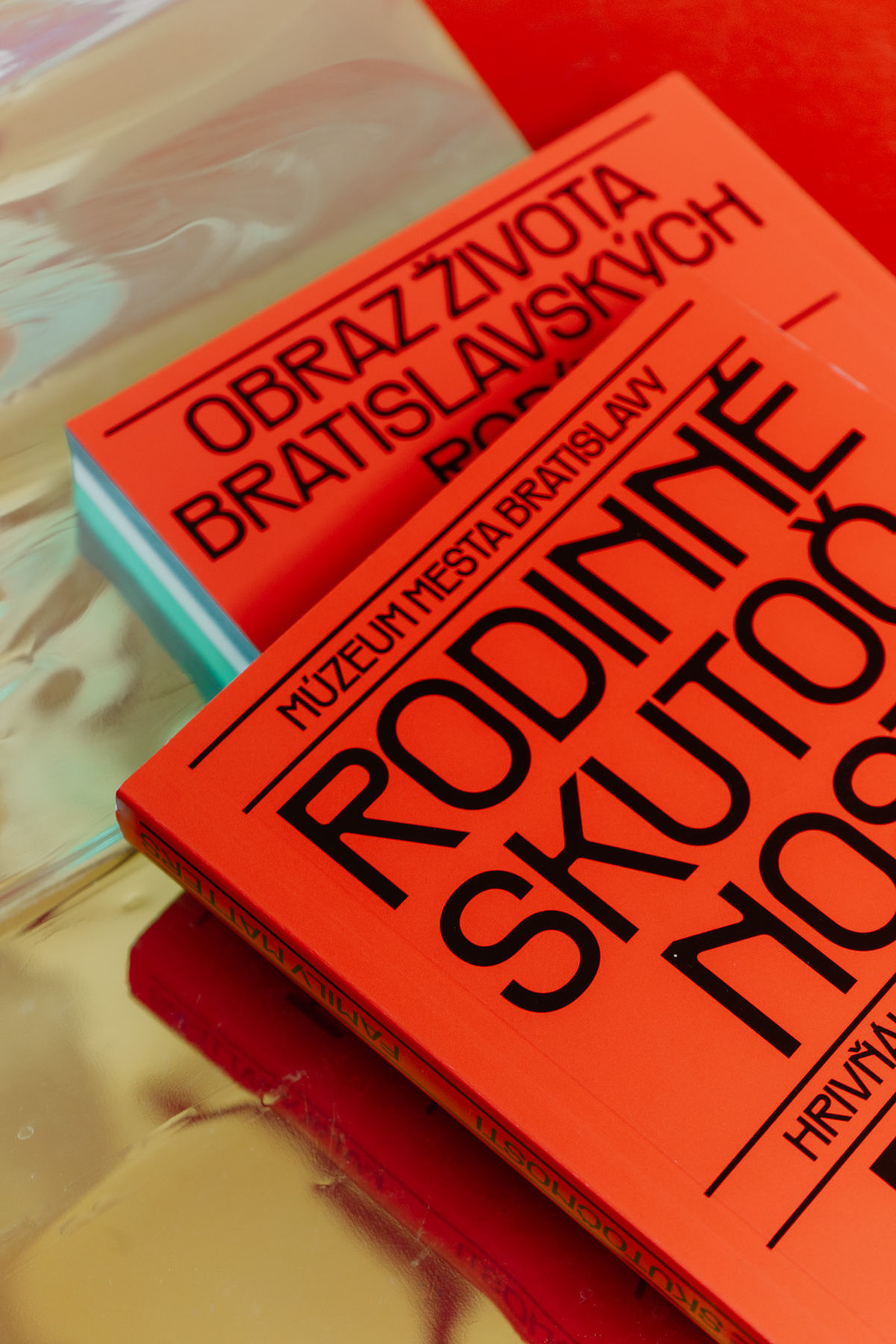 Publikácia k výstave Rodinné skutočnosti. Obraz...