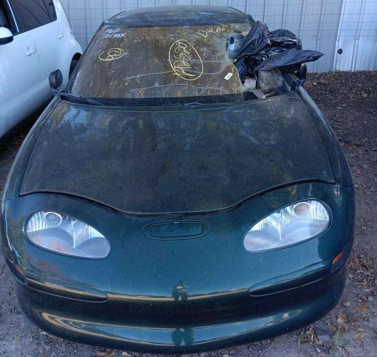 Toto zelené EV1 je jedno približne zo 40 kusov,...