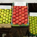 Jablko roka 2025, Fengapi