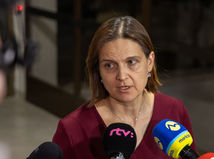 Mária Kolíková, vábor na kontrolu SIS